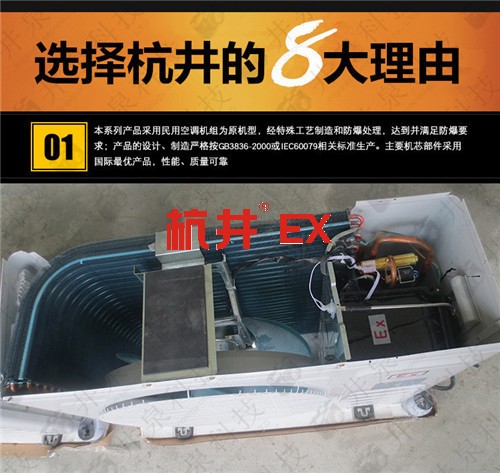 核电站防爆空调机案例图