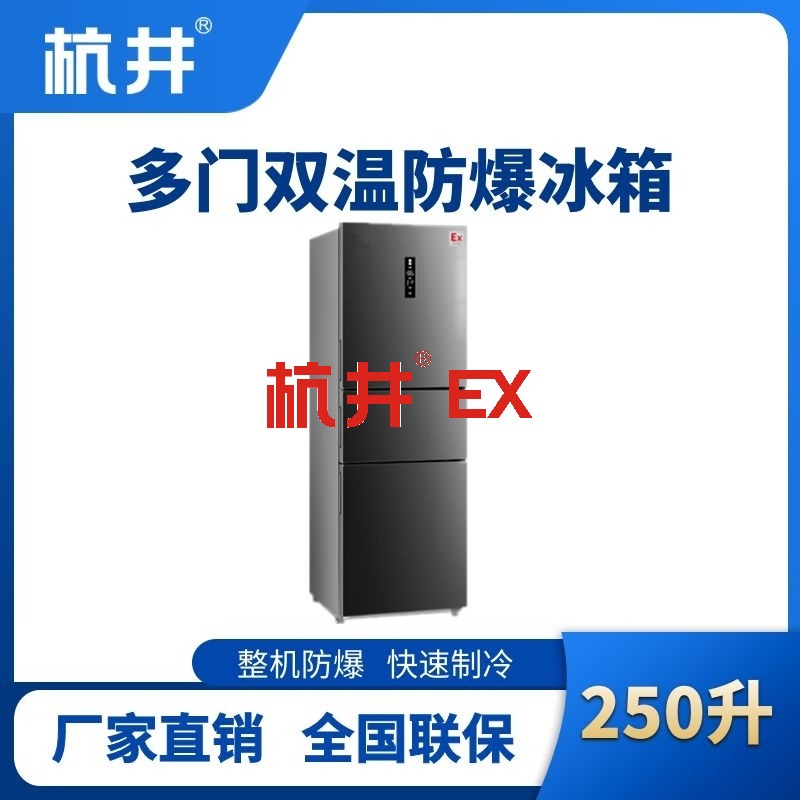 BL-300(DM250L) 250升三开门防爆冰箱