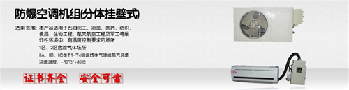 电子防爆空调,风管式防爆空调图片